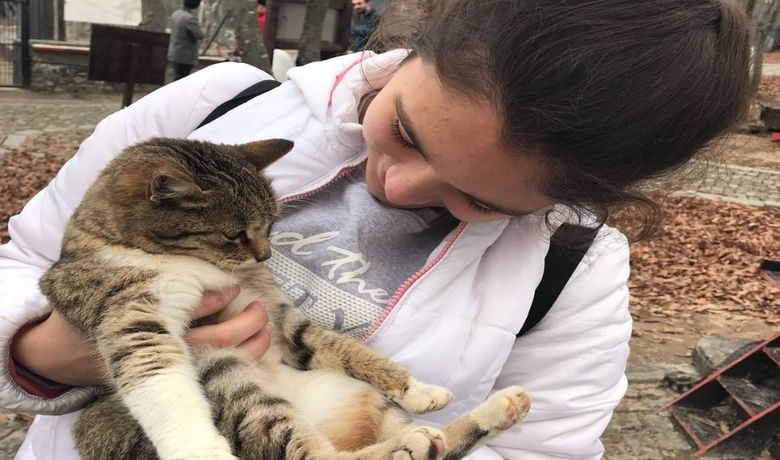 Öğrenciler Kedi Kasabası'nı Gezdi - Samsun Bafra Galip Öztürk Ortaokulu öğrencileri, öğretmenleri eşliğinde, Samsun Büyükşehir Belediyesi tarafından yapılan Kedi Kasabası'nı gezdi.