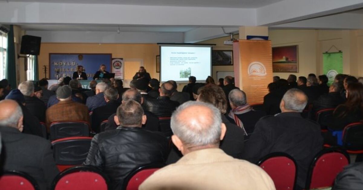 Bafra’da Fındık Yetiştirme Teknikleri Anlatıldı