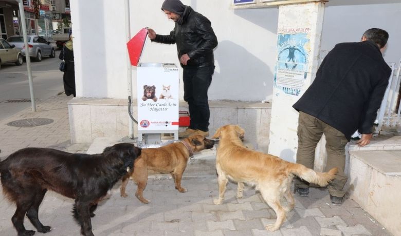 Bafra Belediyesi Sokak Hayvanlarına Sahip Çıkıyor - Bafra Belediye Başkanı Zihni Şahin, sokak hayvanları için ellerinden geleni yaptıklarını, ilçedeki bazı noktalara mamamatik koyduklarını söyledi.