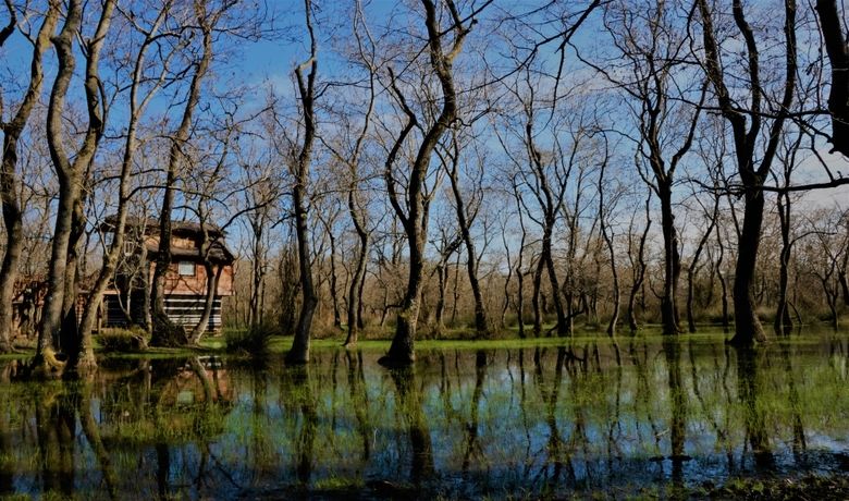 Kızılırmak Deltası DoğalGüzelliğiyle Göz Kamaştırıyor - Samsun’da Kızılırmak nehrinin taşıdığı alüvyonlarla oluşan ve Türkiye’nin en büyük deltalarından olan Kızılırmak Deltası, doğal güzelliği ile göz kamaştırıyor.