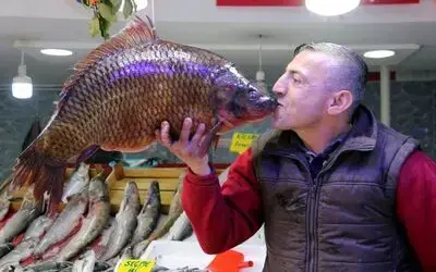 10,5 Kiloluk Sazan Ve 65 Kiloluk Yayın Balığı Görenleri Şaşırttı