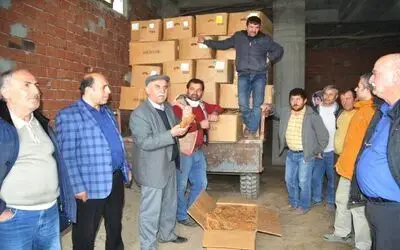 Tütün Üreticisi 'Destek' İstiyor Samsun Bafra Ziraat Odası Başkanı Osman Tosuner: "Tütünün De Tarım Ürünü Olarak Kabul Edilmesi Lazım"