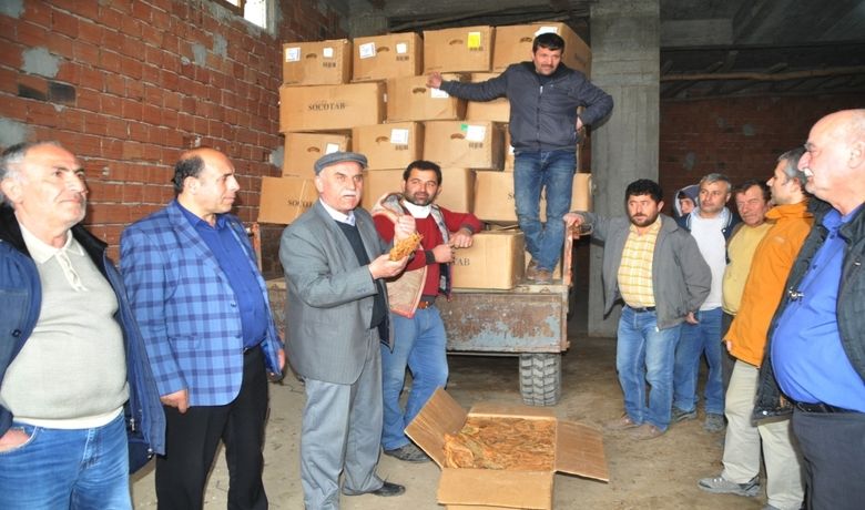 Tütün Üreticisi 'Destek' İstiyor Samsun Bafra Ziraat Odası BaşkanıOsman Tosuner: "Tütünün De Tarım Ürünü Olarak Kabul Edilmesi Lazım" - Samsun Bafra Ziraat Odası Başkanı Osman Tosuner, tütünün de tarım ürünü olarak kabul edilerek devlet tarafından desteklenmesi gerektiğini söyledi.