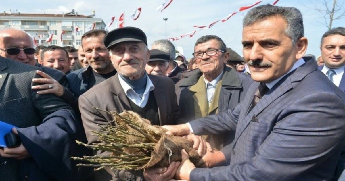 Yakakent’te 15 Bin Ceviz Fidanı Dağıtıldı