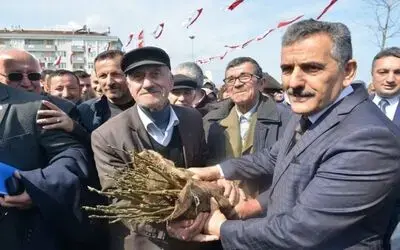 Yakakent’te 15 Bin Ceviz Fidanı Dağıtıldı