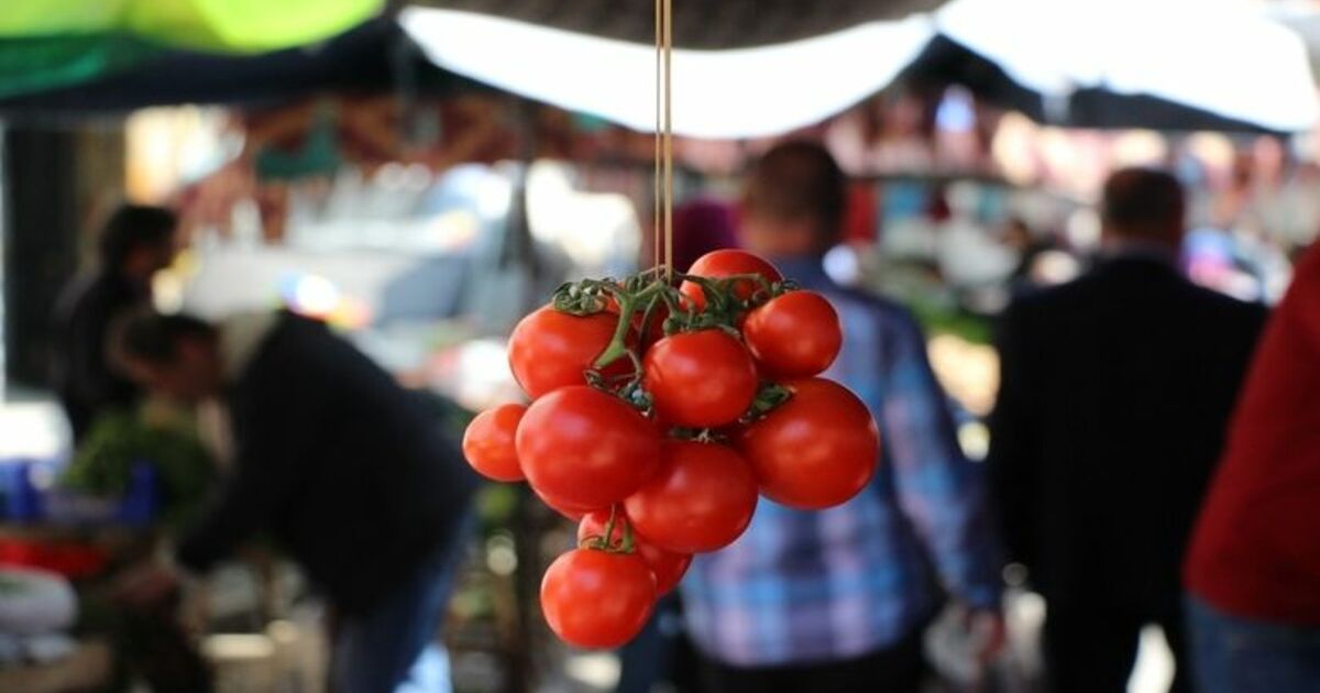 Pazarcının Gözü Çarşamba Ve Bafra Ovalarında Yerli Ürünlerin Çıkmasıyla Fiyatların Da Düşmesi Bekleniyor