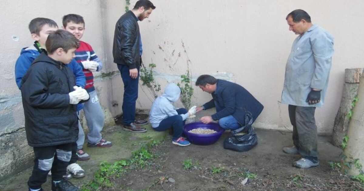 Özel Öğrencilerden Mantarın Yolculuğu Çalışması