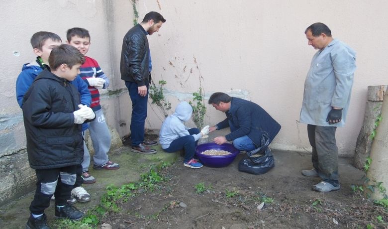 Özel Öğrencilerden Mantarın Yolculuğu Çalışması - Samsun Bafra Doğankaya Özel Eğitim Uygulama Merkezinde, "Mantarın Yolculuğu Projesi" kapsamında öğrenciler, istiridye mantarını samanda ve kütükte ekim çalışma yaptı.