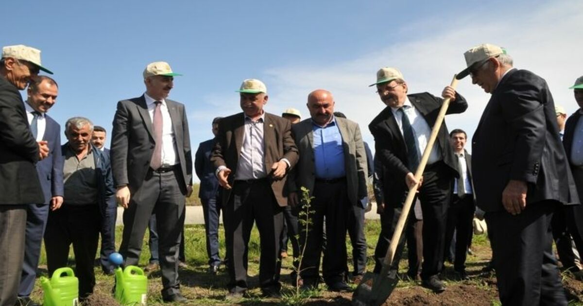 Bafra'da "Adalet Ormanı" Oluşturuldu