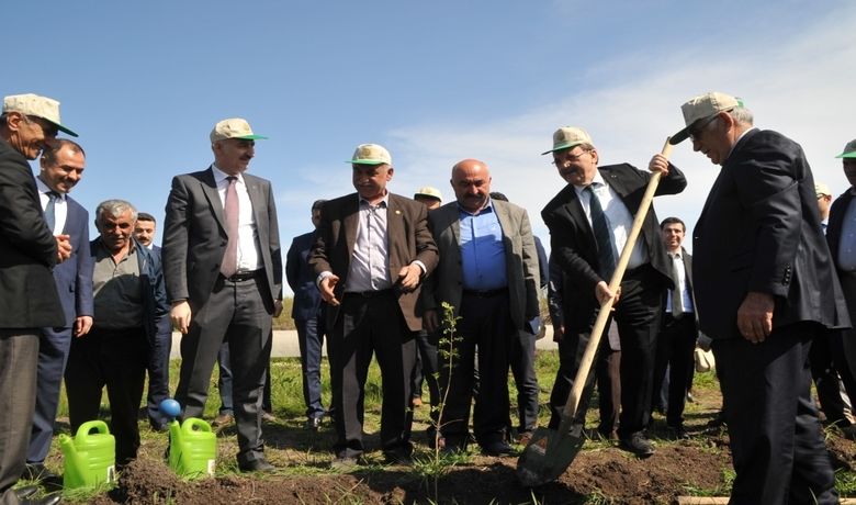 Bafra'da "Adalet Ormanı" Oluşturuldu - Samsun’un Bafra ilçesinde, Bafra Adliyesi tarafından "Adalet Ormanı" hayata geçirildi.