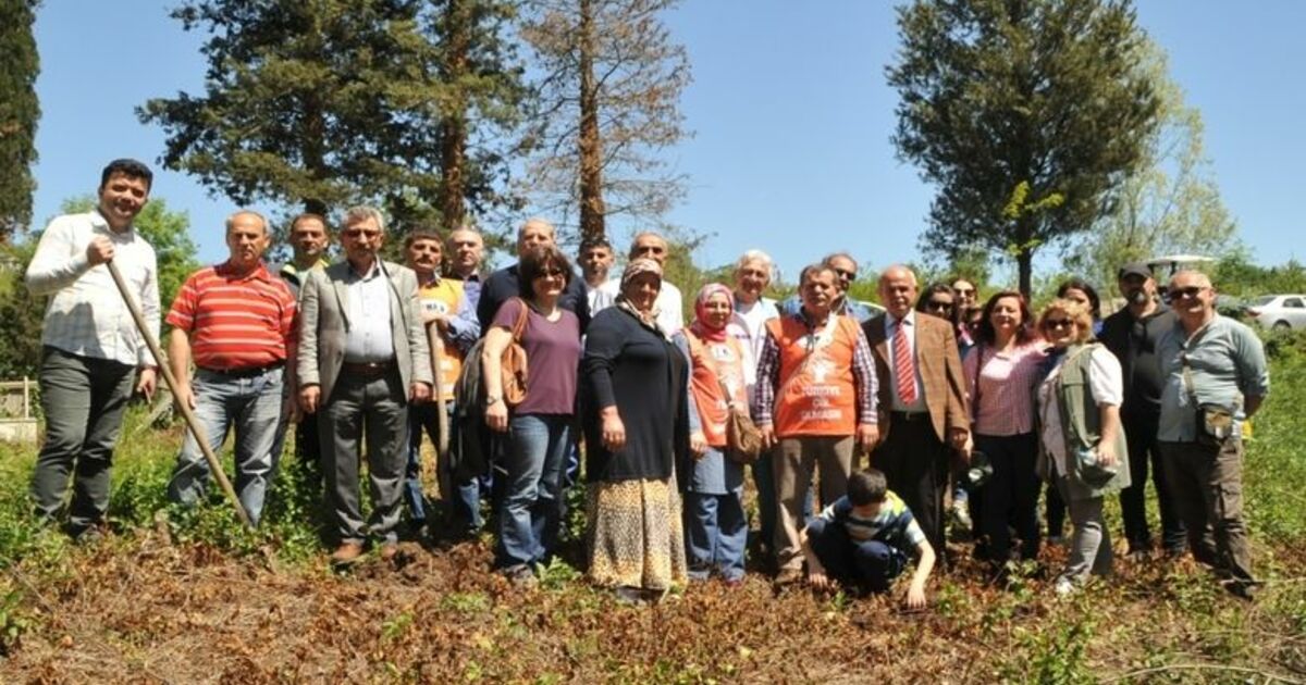 Bafra’da Uçurtma Şenliği Düzenlendi