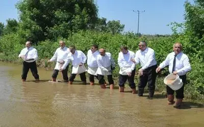 Bafra Ovası'nda Çeltik Tohumları Suyla Buluştu Bafra Ovası'nda "4. Çeltik Ekimi Festivali" Yapıldı