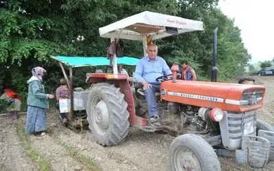 Bafralı Tütün Üreticileri Destek İstiyor