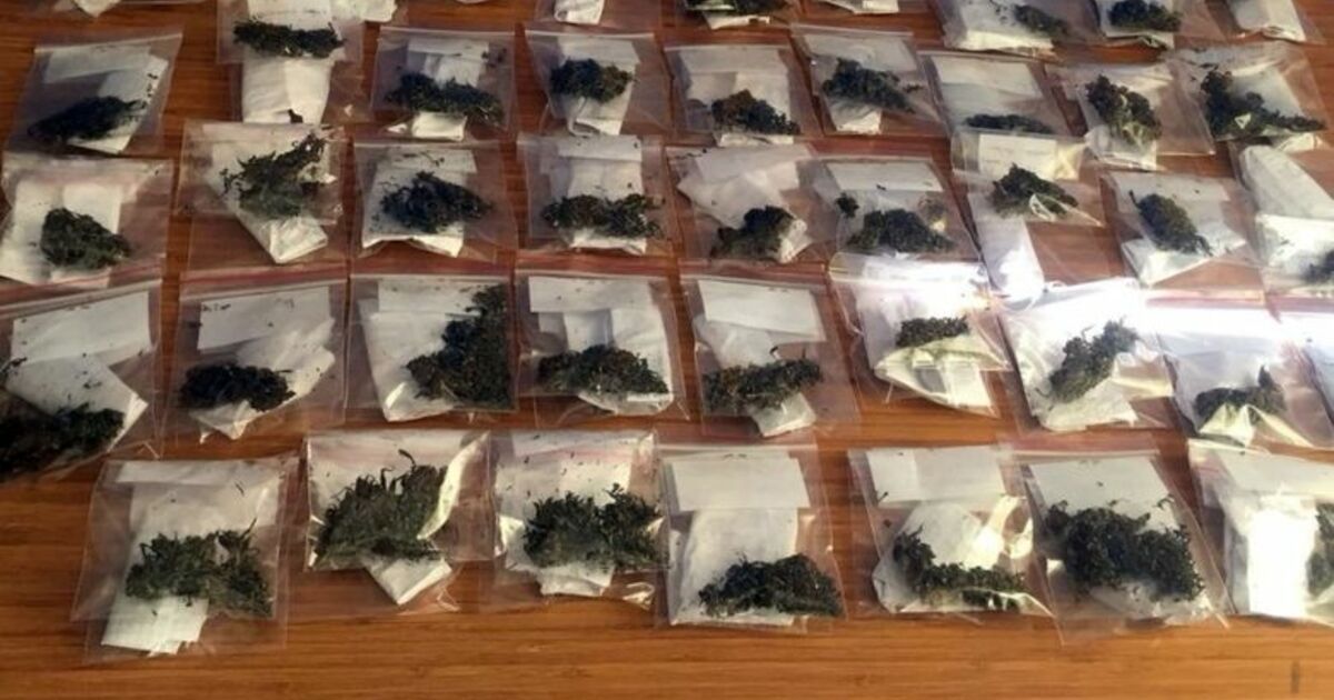 Samsun'da Satışa Hazır Halde 43 Paket Esrar Maddesi Ele Geçirildi