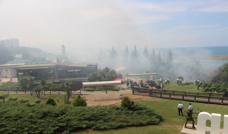 Samsun'da Amisos Tepesi Alev Alev Yandı - Samsun'un İlkadım ilçesinde bulunan Amisos Tepesi alevlere teslim oldu.