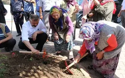 Başkan Kılıç, Bafra Huzurevi'nin Bahçesine Çiçek Dikti