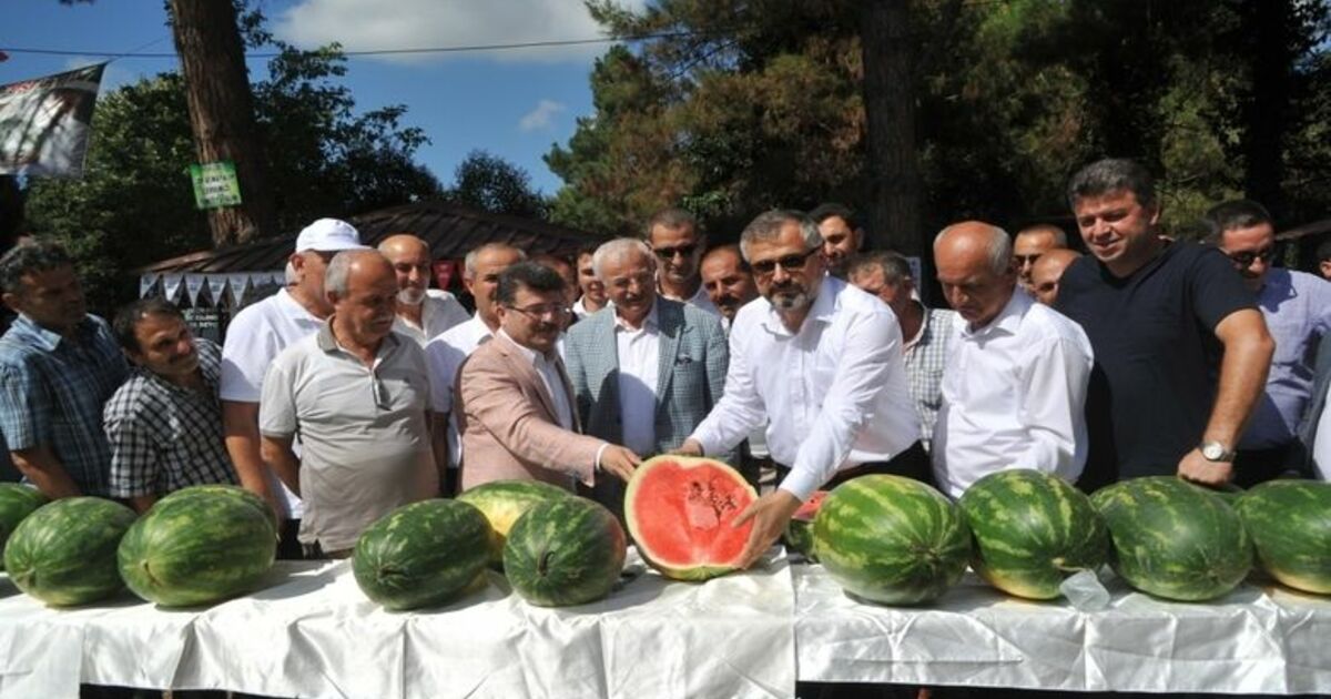 Bafra’da Kavun Karpuz Festivali