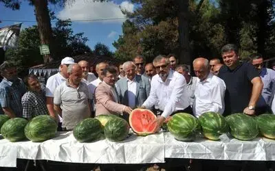 Bafra’da Kavun Karpuz Festivali