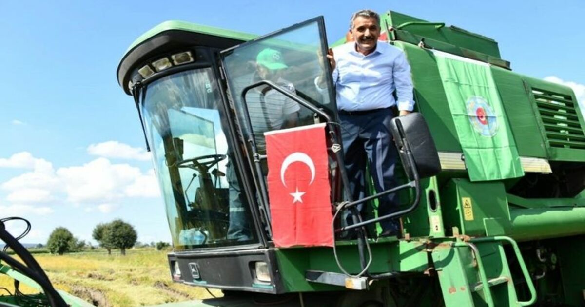Protokol Biçerdöverle Çeltik Hasadı Yaptı “geleneksel 3. Çeltik Hasat Şenliği” Yapıldı