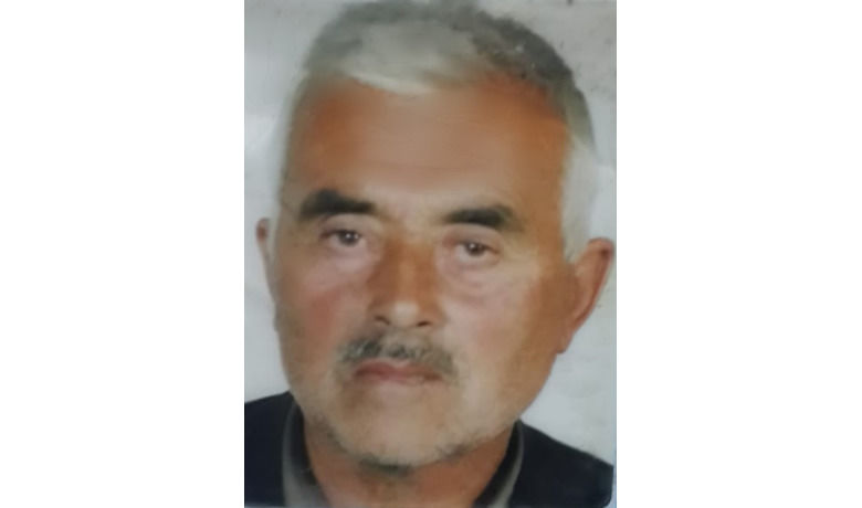 Ağaçtan Düşen Yaşlı Adam Hayatını Kaybetti - Samsun'da çıktı ağaçtan düşen bir kişi hayatını kaybetti.