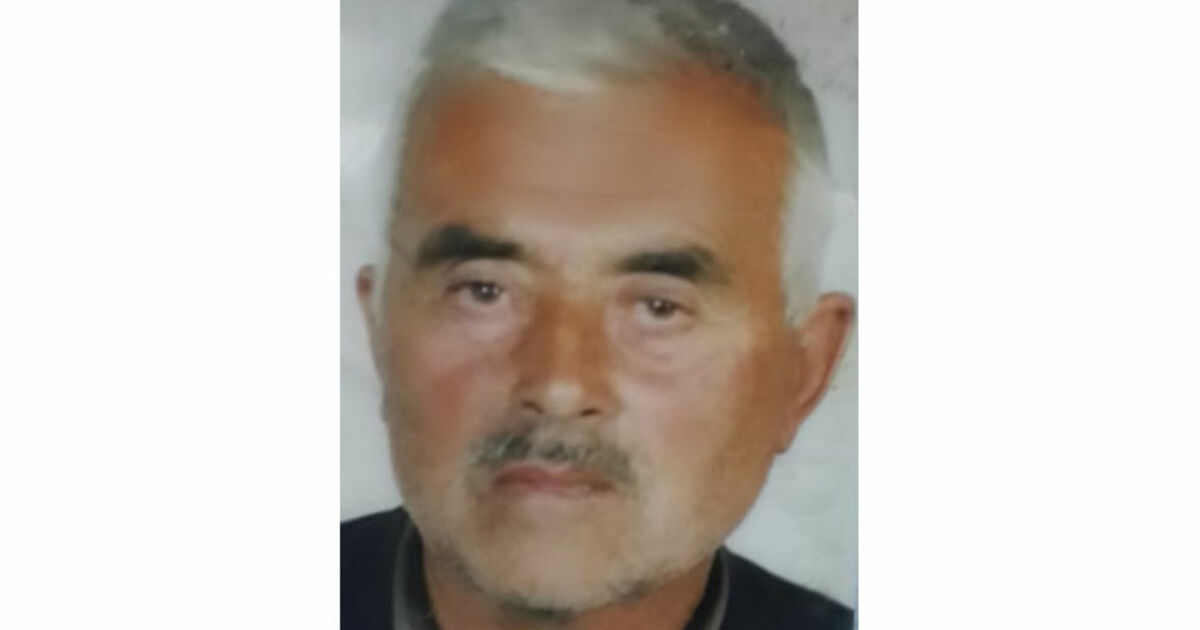 Ağaçtan Düşen Yaşlı Adam Hayatını Kaybetti