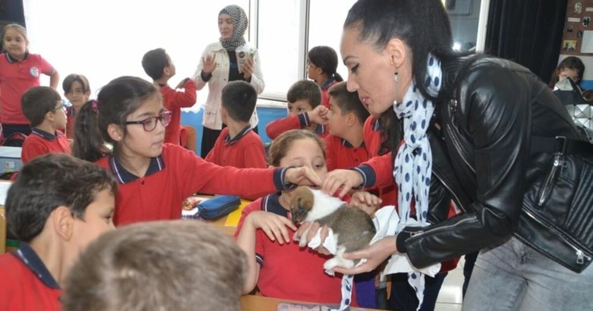 Bafra'da İlkokul Öğrencilerine Hayvan Sevgisi Aşılanıyor