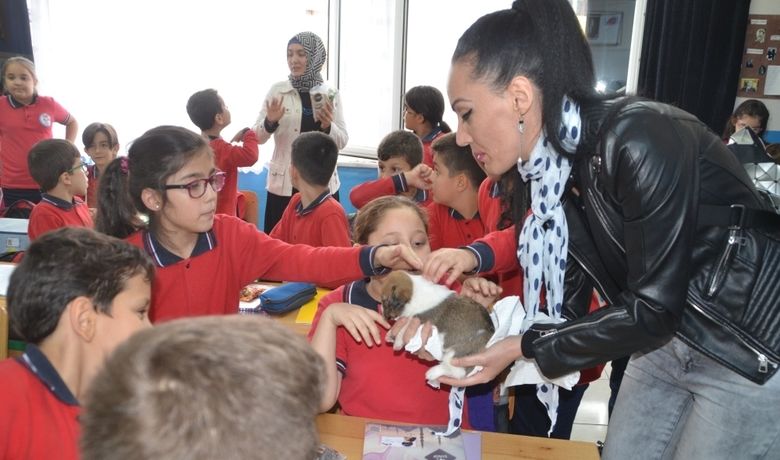 Bafra'da İlkokul ÖğrencilerineHayvan Sevgisi Aşılanıyor - Samsun’un Bafra ilçesinde sosyal proje kapsamında hayvan sevgisini aşılamak için ilkokul öğrencilerine, hayvanseverler tarafından kedi maması dağıtıldı.