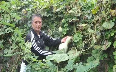 Bahçesinde Yetiştirdiği Su Kabaklarını Süs Eşyasına Dönüştürüyor