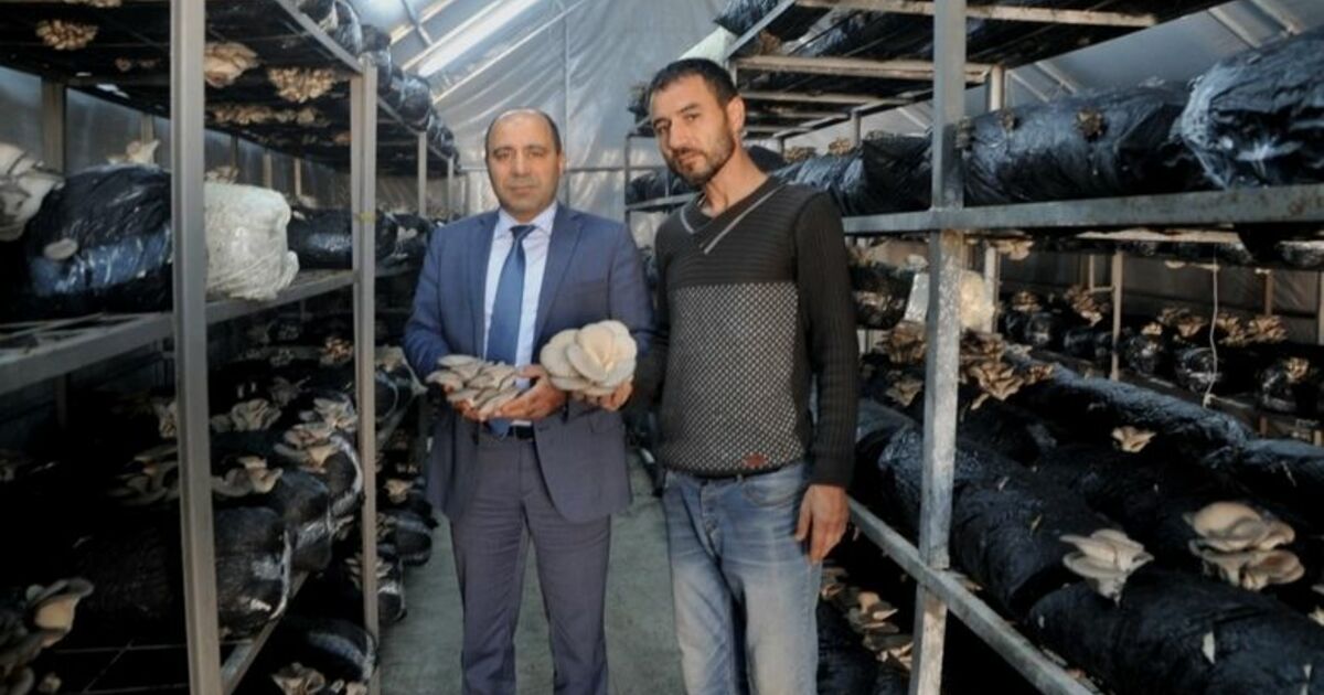 Bafra İşkur’un Verdiği Destekle Hayalleri Gerçeğe Dönüştü