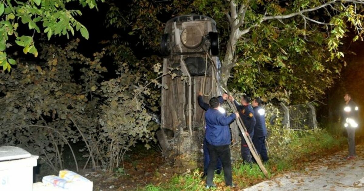 Ağaca Çarpan Otomobil Şaha Kalktı:1 Yaralı