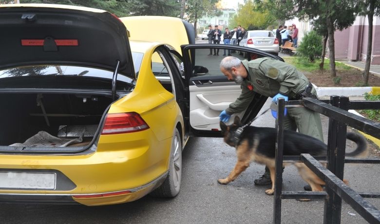 “pusu”lu Asayiş Uygulaması - Samsun'un Bafra ilçesinde 96 personelin katıldığı 28 ekiple asayiş uygulaması yapıldı. Uygulamada “Pusu” isimli narkotik köpeği de görev aldı.