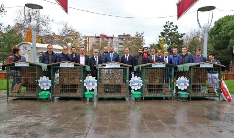 Kediler Dubleks Evlerine Kavuştu - Orman ve Su İşleri Bakanlığı sokak hayvanlarının soğuk ve kış şartlarında barınma ihtiyaçlarını karşılamak maksadıyla başlattığı kedi evleri dağıtımı uygulamasını Bafra’da da gerçekleştirildi.