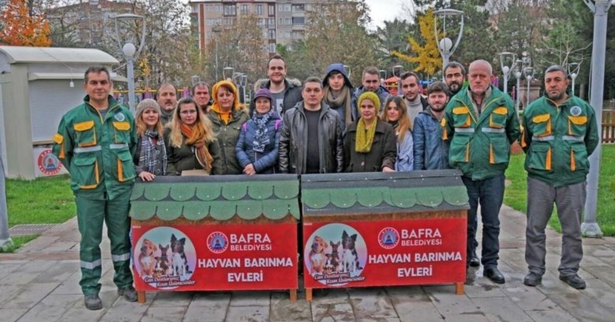 Sokak Köpekleri Artık Üşümeyecek