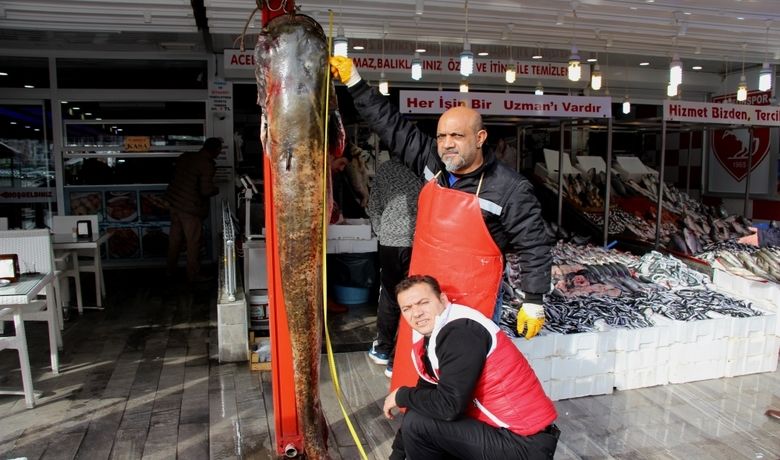 Dev Balık Görenleri Hayrete Düşürdü: 2 Metre 30 Santim, 103Kilo Dev Yayın Balığını Gören Vatandaşlar Telefonlara Sarıldı, Selfie Çekildi - Samsun’da baraj gölünde yakalanan dev yayın balığını görenler telefonlara sarılarak, balıkla fotoğraf çekildi.