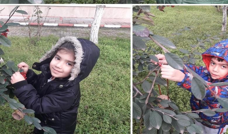 Kızılırmak İlkokulunda " KuşlaraBir Damla Umut " Projesi - Ülkemizde uygulanan “ Kuşlara Bir Damla Umut ” Projesi Kapsamında Bafra Kızılırmak İlkokulu, Anasınıfı öğrencileri, kuş  yemlikleri hazırlayarak okul bahçesindeki ağaçlara astılar.