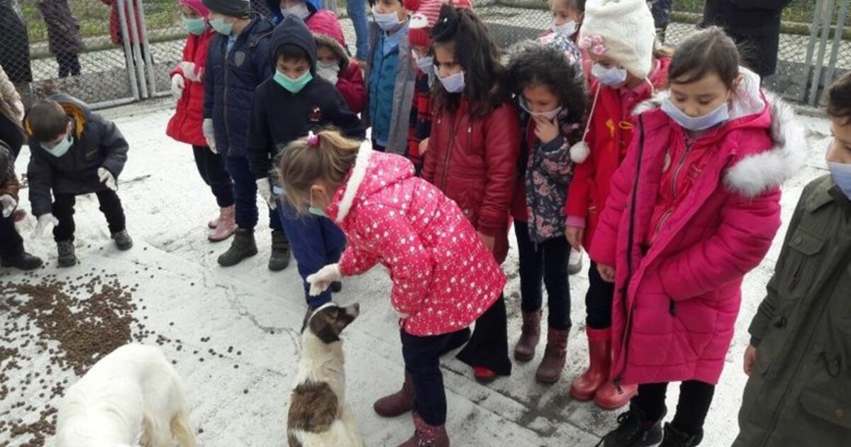 Öğrencilerden Hayvan Barınağına 70 Kilo Mama