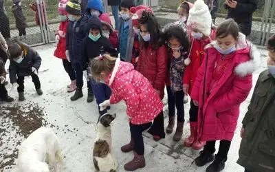 Öğrencilerden Hayvan Barınağına 70 Kilo Mama