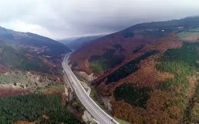 1 Yılda 2 Milyona Yakın Fidan Toprakla Buluştu