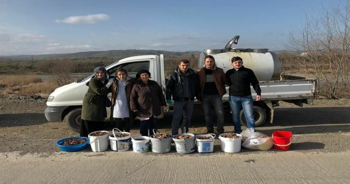 Bafbes Besleme Yapmaya Devam Ediyor