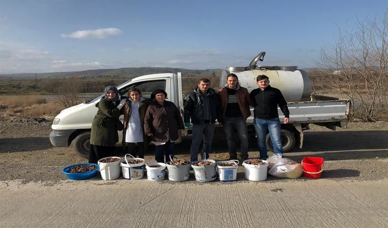 Bafbes Besleme Yapmaya Devam Ediyor - Samsun’un Bafra ilçesinde, Bafra Sokak Hayvanlarını Besleme Grubu (BAFBES) kendisine yapılan bağışlarla onlarca sokak hayvanını beslemeye devam ediyor.
