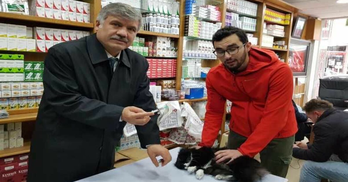 Kemal Bütüner: Hayvanlar Allah’ın Bize Emaneti