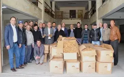 Bafra’da Tütün Alımları Başladı Tosuner: "Devlet, Tütünden Aldığı Vergiyi Düşürmeli"