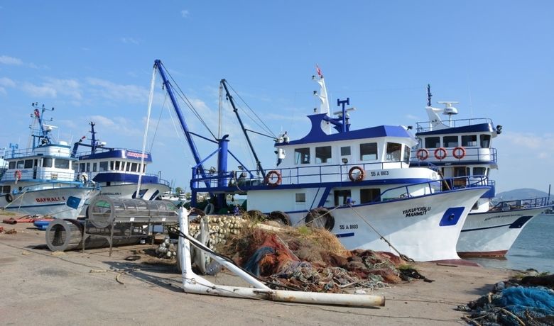 Balıkçı Teknesinden Mazot Hırsızlığına 3 Tutuklama - Samsun’un 19 Mayıs ilçesinde balıkçı teknesinden mazot hırsızlığı iddiasıyla gözaltına alınan 3 şahıs tutuklandı.
