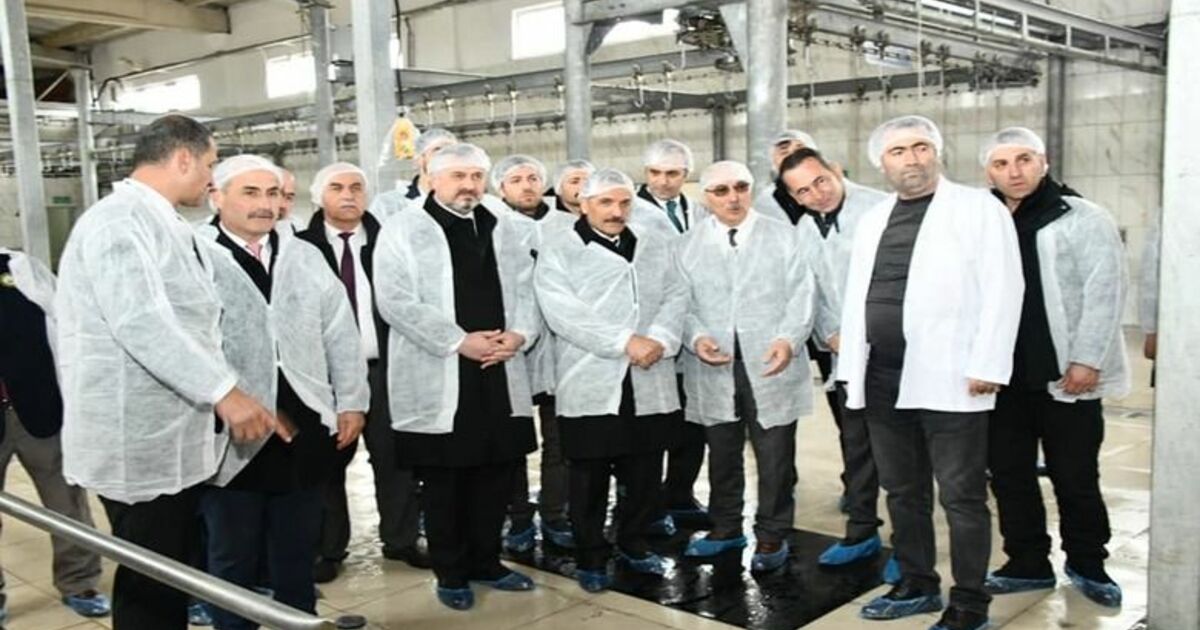 Vali Kaymak, Bafra Ticaret Borsası Mezbahasını İnceledi 