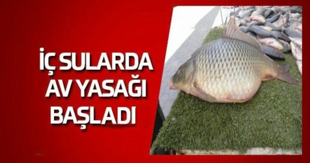 İç Sularda Av Yasağı Başladı