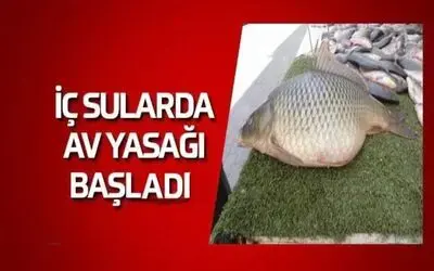 İç Sularda Av Yasağı Başladı