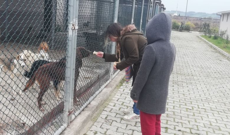 Hayvanları Elleri İle Beslediler - Samsun’un Bafra ilçesinde bir grup hayvansever, Bafra Belediyesi Hayvan Rehabilitasyon Merkezi'ni ziyaret etti.