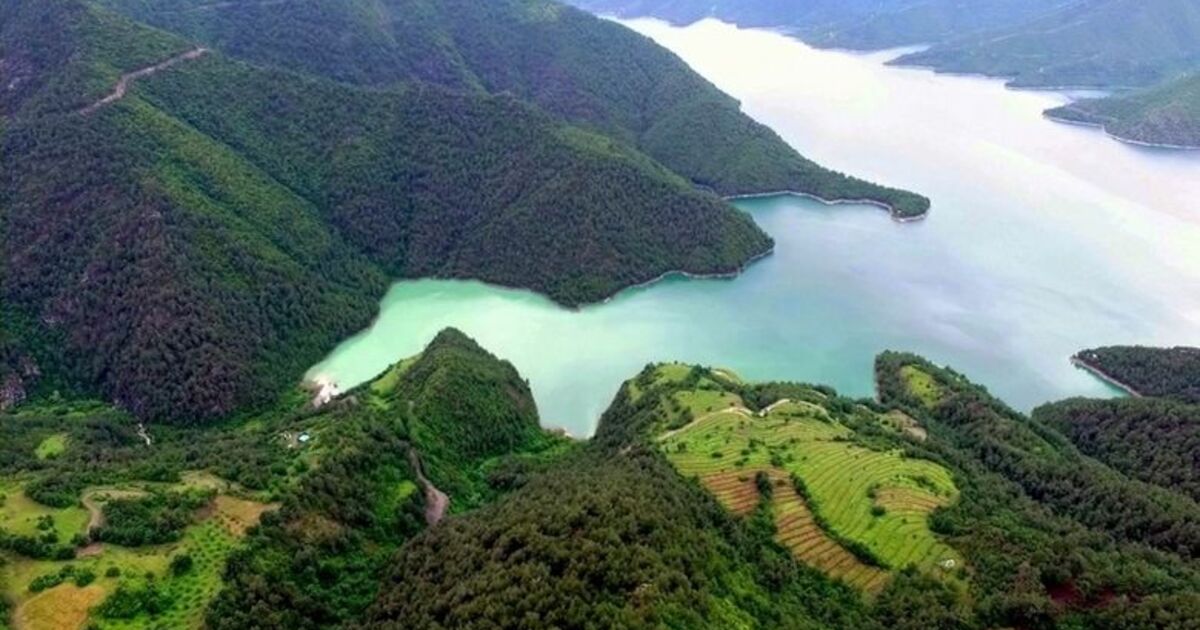 Samsun'da 3,5 Milyondan Fazla Fidan Üretilecek