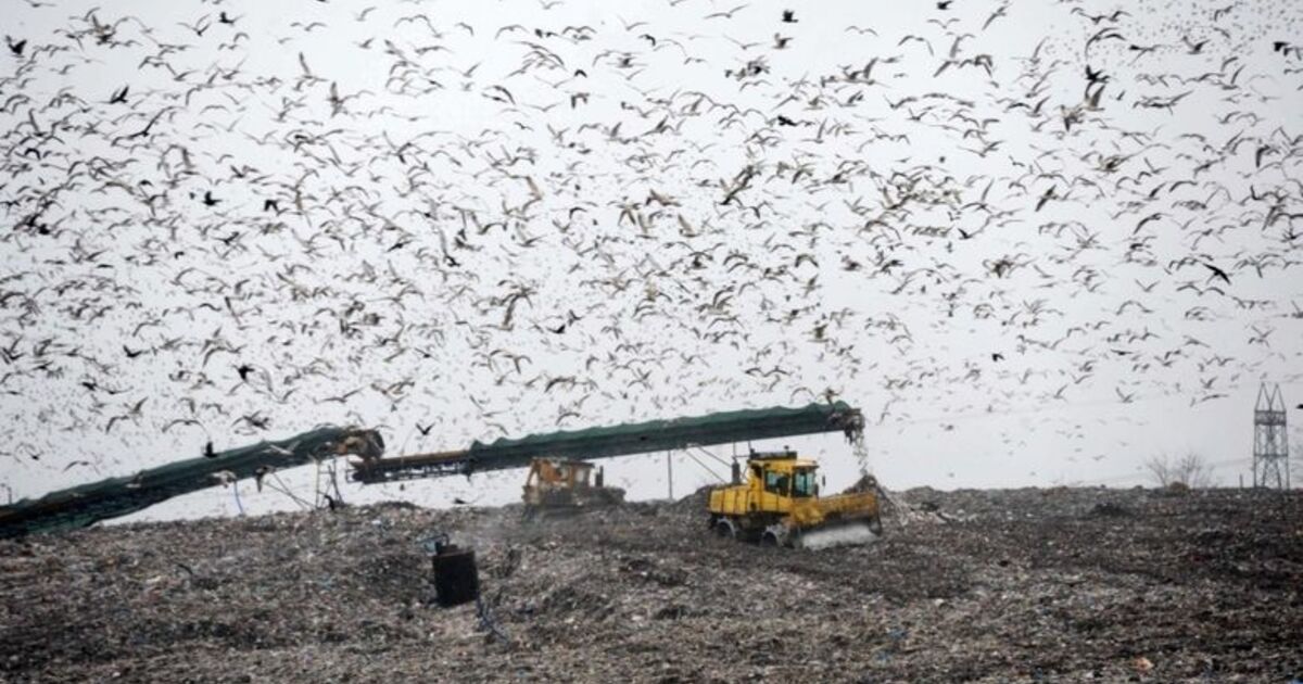 10 Yılda 2,3 Milyon Ton Katı Atık Bertaraf Edildi Toplanan Katı Atıklar Enerjiye Dönüştürülüyor