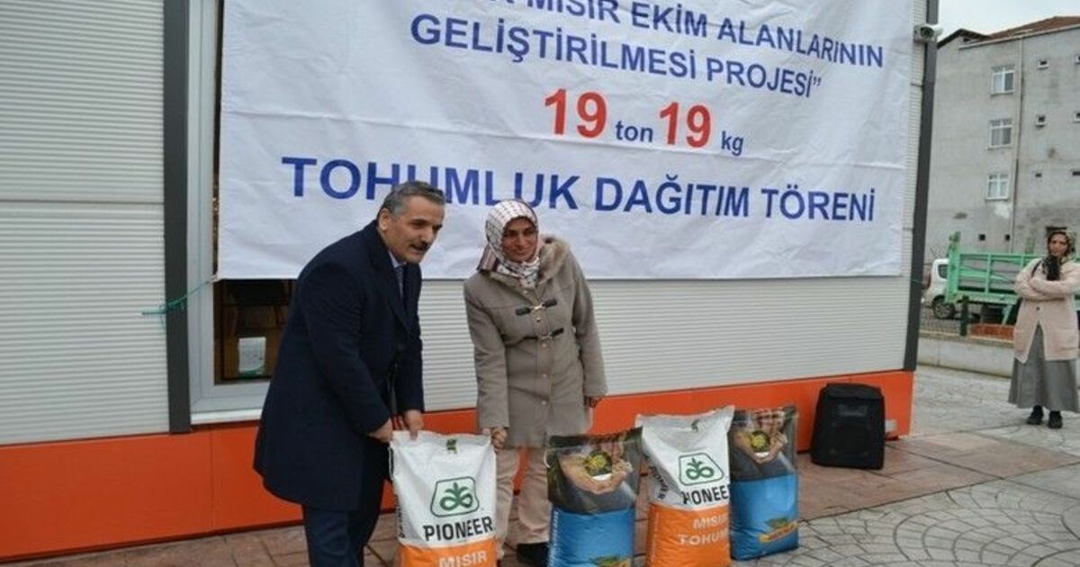 Üreticilere 19 Ton Silajlık Mısır Tohumu Dağıtıldı